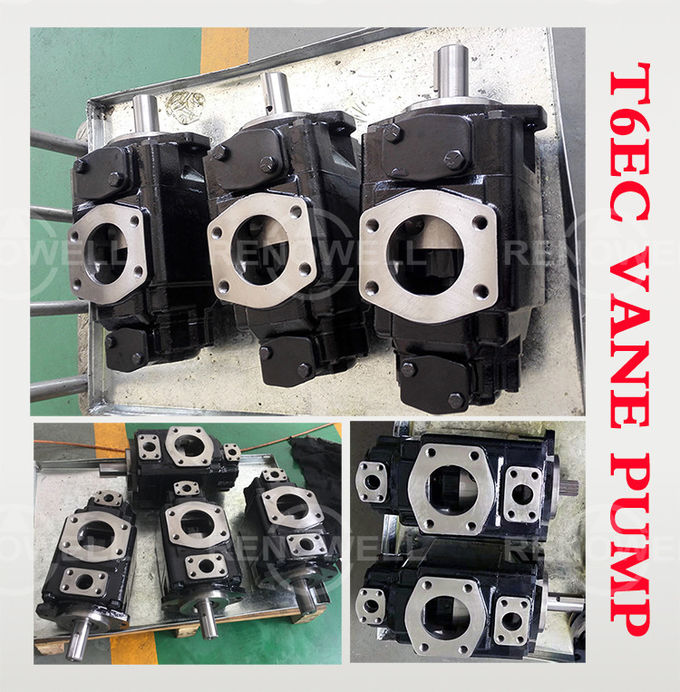 Pompe de palette hydraulique fixe de T6DCC T6EDC avec la résistance élevée de pollution par les hydrocarbures