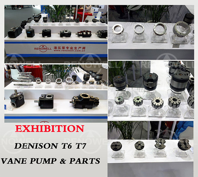 Pompe de palette hydraulique de palette de Denison de dÃ©placement triple hydraulique de la pompe T6DCC Fiexed